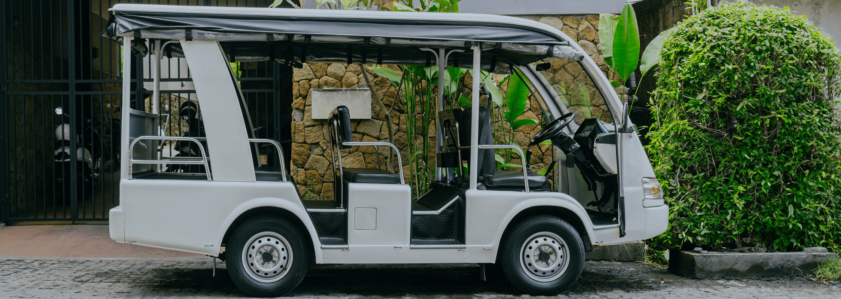 Tours and Safaris